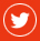 twitter icon
